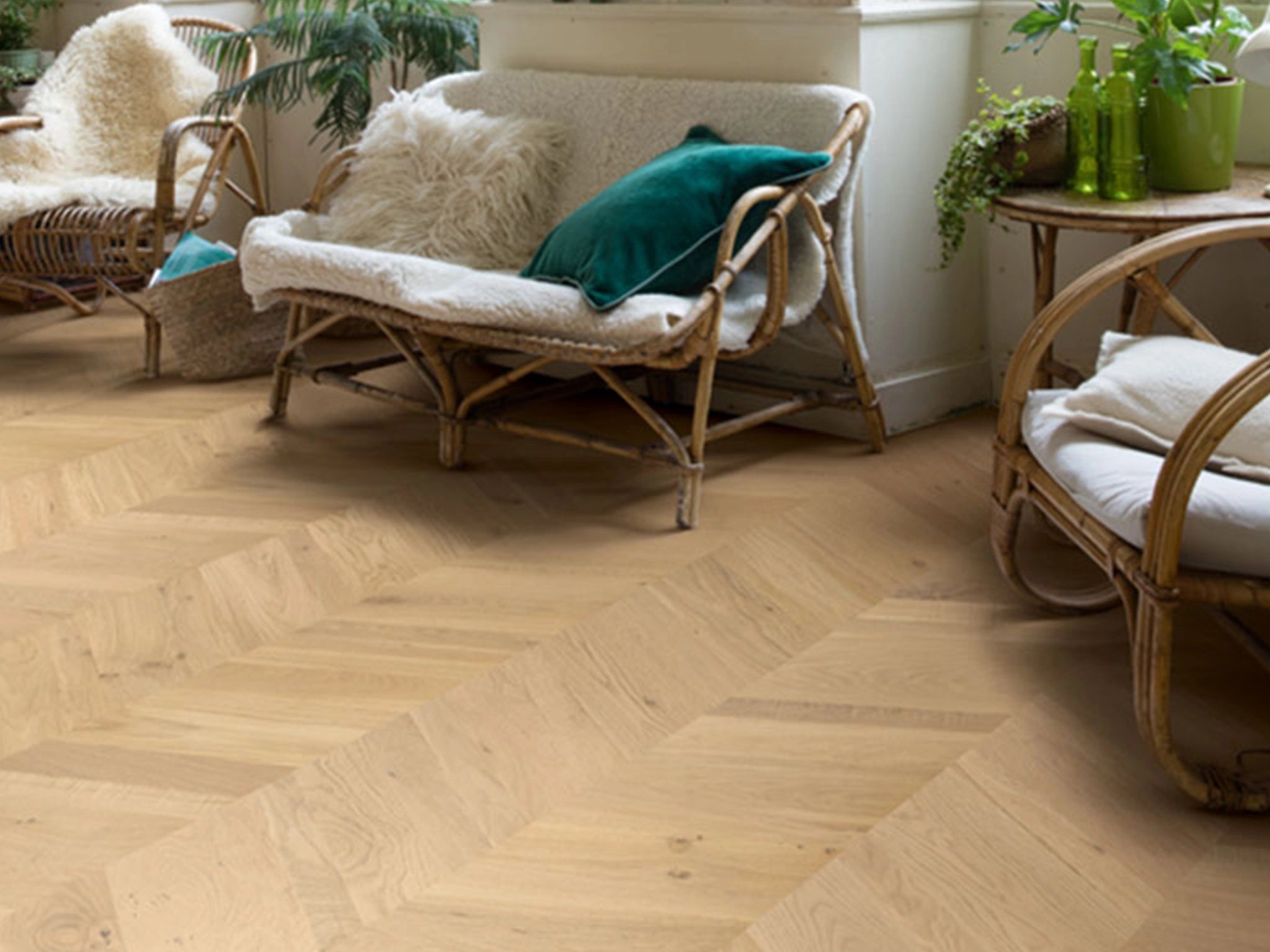 Quickstep Intenso