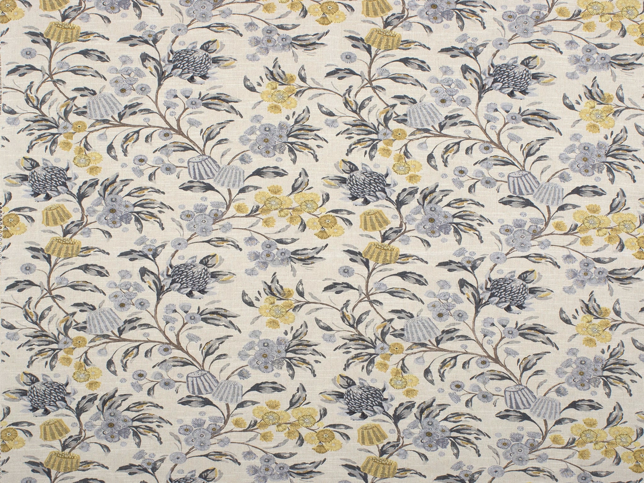 Hinterland-Curtain Studio